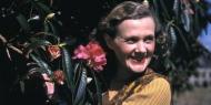 The Daphne du Maurier Society of North America is meeting on Sunday 1st March 2020