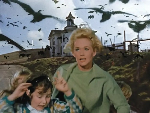 Image from the film of The Birds