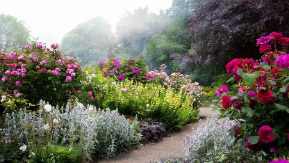 Fowey Festival Secret Gardens