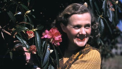 Daphne du Maurier with Rhododendrons