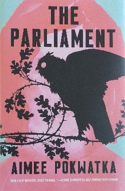 The Parliament by Amiee Pokwatka
