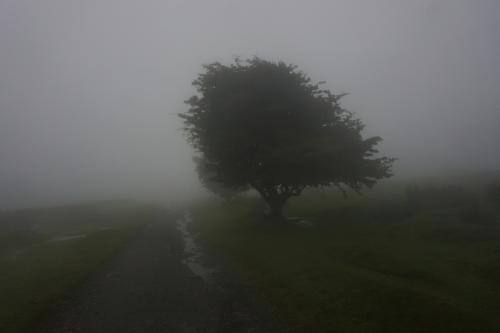 Photo Gallery Image - Bodmin Moor