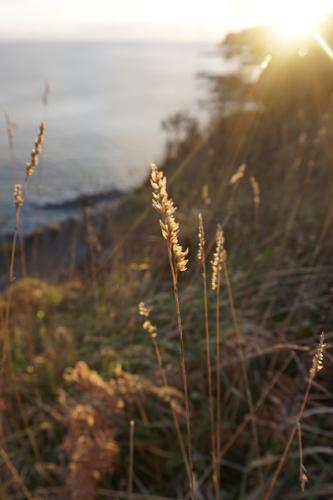 Photo Gallery Image - Coastal Path towards Fowey